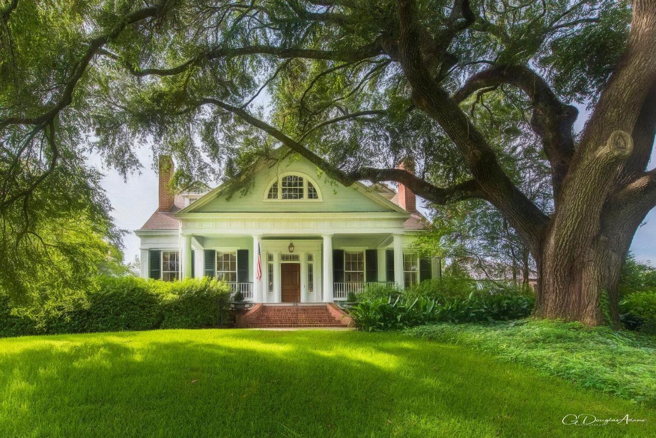 The Burn Bed And Breakfast Natchez Kültér fotó